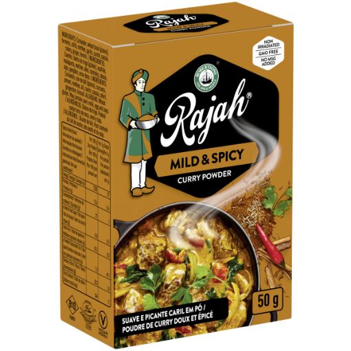 ROBERTSONS RAJAH CURRY POW MLD&SPCY 50G