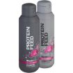 PROTEIN FEED SHAMPOO & COND SHAM&CONDIT COL PROTECT