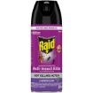 RAID INSECTICIDE DP L/ODOUR 300ML
