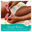 PAMPERS DIAPER PANTS PANTS SZ6 CARRY PACK