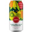 B&T VODKA&KIWI PEACH S/BERRY CANS 440ML