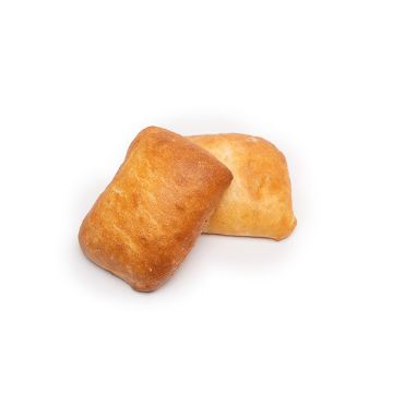 MODEL PANINI