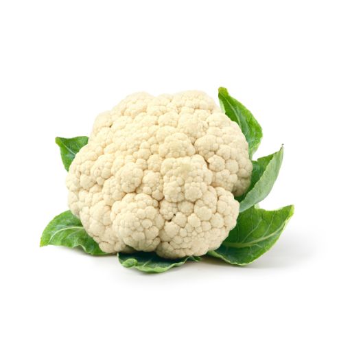MODEL CAULIFLOWER PP