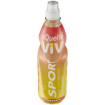 AQUELLE VIV PINEBERRY  1 x 500ML