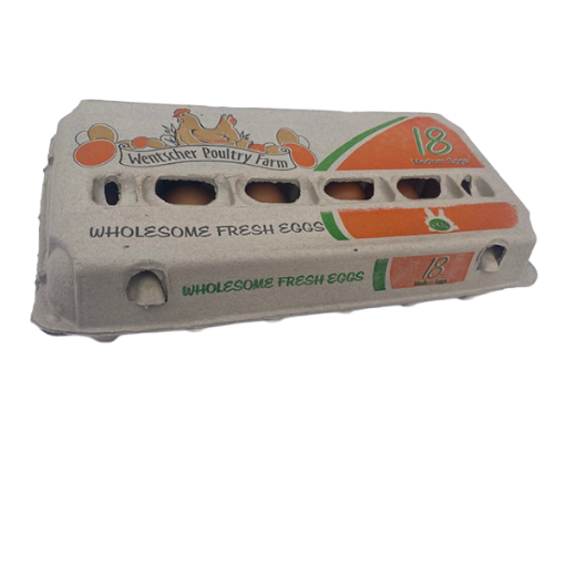 P WENTSCHER EGGS MEDIUM  1 x 18`S